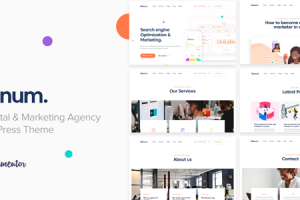 Nanum — Digital & Marketing Agency WordPress Theme