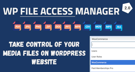 WP File Access Manager Plugin