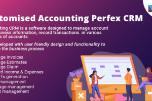 Customised Accounting Perfex CRM