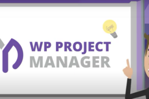 WP Project Management Plugin