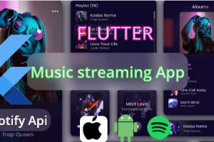 Flutter Music Streaming Player online ofline With Spotify Api